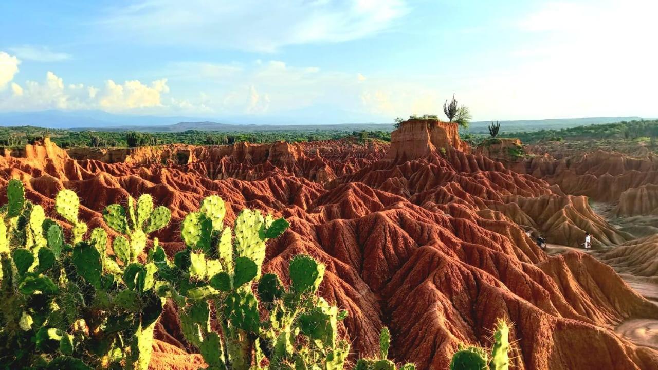 Avani Del Desierto 比利亚维哈 外观 照片