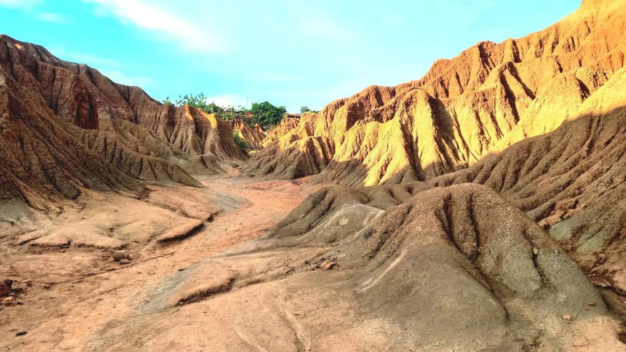 Avani Del Desierto 比利亚维哈 外观 照片